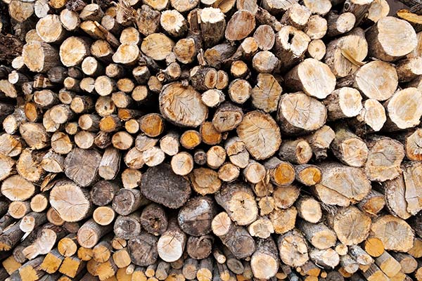 Baumfällung - Garten Holz Vision - Mönchengladbach